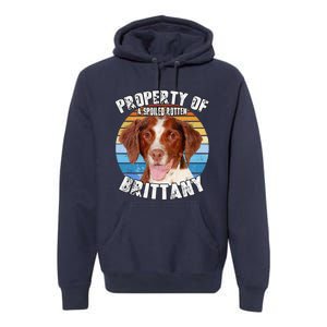 Brittany Spaniel Property Of Cute Dog Premium Hoodie