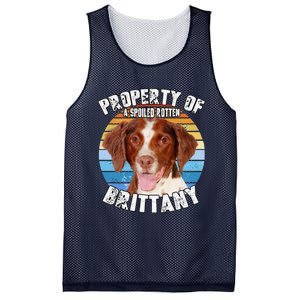 Brittany Spaniel Property Of Cute Dog Mesh Reversible Basketball Jersey Tank