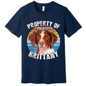 Brittany Spaniel Property Of Cute Dog Premium T-Shirt