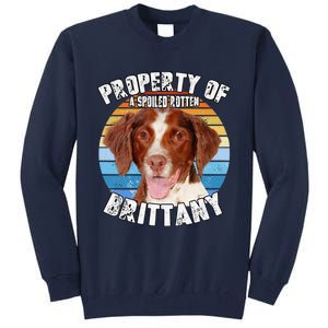 Brittany Spaniel Property Of Cute Dog Tall Sweatshirt