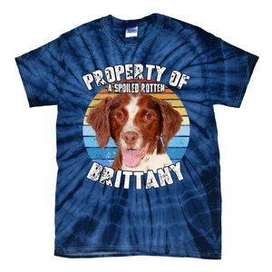 Brittany Spaniel Property Of Cute Dog Tie-Dye T-Shirt