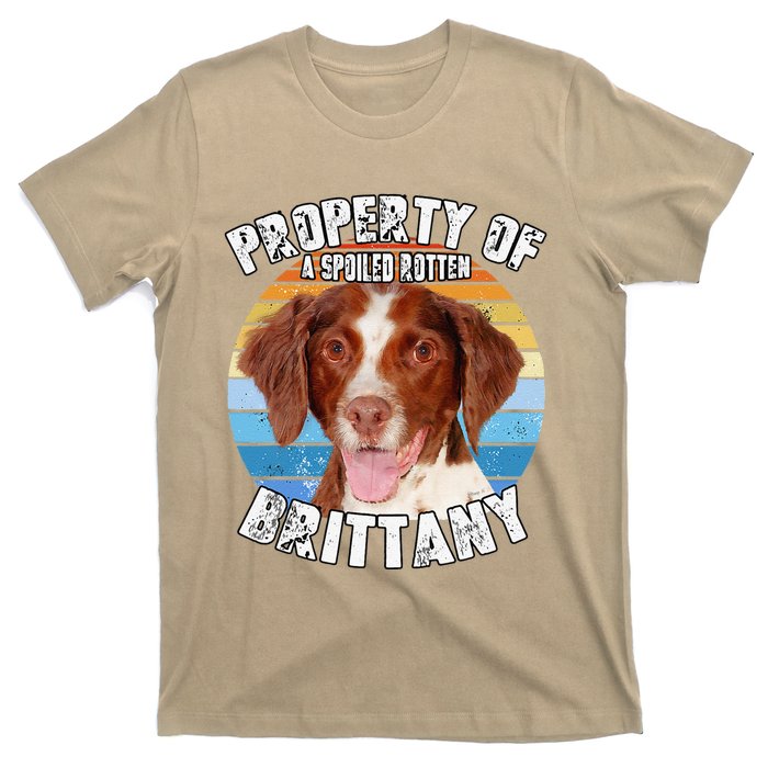 Brittany Spaniel Property Of Cute Dog T-Shirt