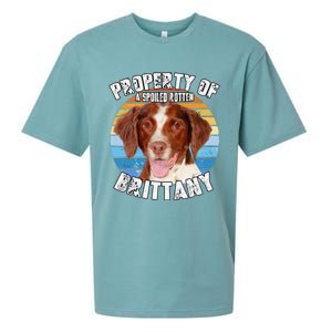 Brittany Spaniel Property Of Cute Dog Sueded Cloud Jersey T-Shirt