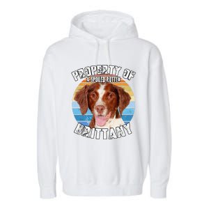 Brittany Spaniel Property Of Cute Dog Garment-Dyed Fleece Hoodie