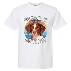 Brittany Spaniel Property Of Cute Dog Garment-Dyed Heavyweight T-Shirt