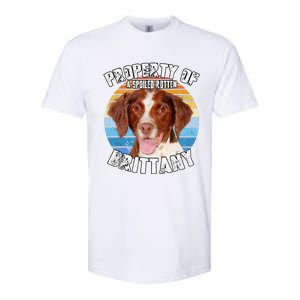 Brittany Spaniel Property Of Cute Dog Softstyle CVC T-Shirt