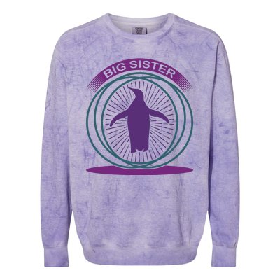 Big Sister Penguin Colorblast Crewneck Sweatshirt