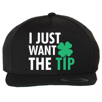 Bartender St Patricks Day Gift Funny Just The Tip Gift Wool Snapback Cap