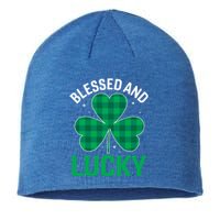 Blessed St Patricks Day Meaningful Gift Sustainable Beanie