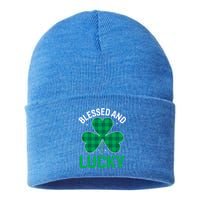 Blessed St Patricks Day Meaningful Gift Sustainable Knit Beanie