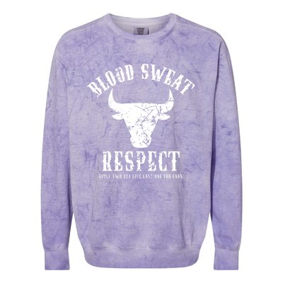 Blood Sweat Respect Tee First Two You Give Last One You Earn Gift Colorblast Crewneck Sweatshirt