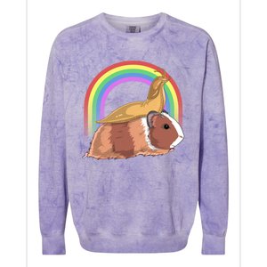 Banana Slug Riding Guinea Pig Rainbow Cute Magical Animal Gift Colorblast Crewneck Sweatshirt