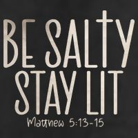 Be Salty Stay Lit Matthew 51316 7 Panel Mesh Trucker Snapback Hat