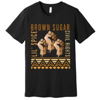 Brown Sugar Spice and Civil Rights Cute Black History Month Premium T-Shirt