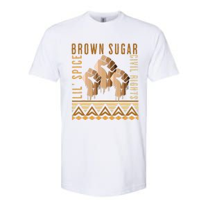 Brown Sugar Spice and Civil Rights Cute Black History Month Softstyle CVC T-Shirt