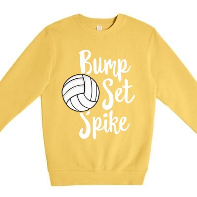 Bump Set Spike Volleyball Great Gift Player Team Premium Crewneck Sweatshirt