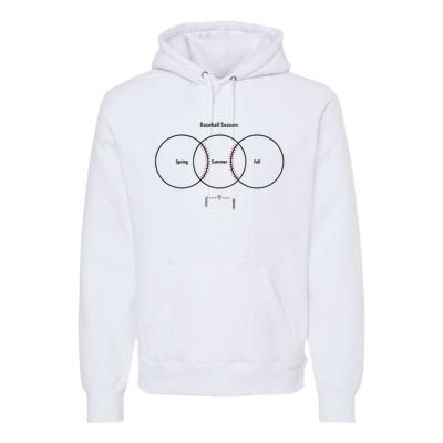 Baseball Season Spring Summer Fall Premium Hoodie