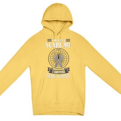 Brain Surgery Survivor Tumor Cancer Awareness Head In Jury Premium Pullover Hoodie