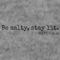 Be Salty Stay Lit Matthew 513 14 Christian Religious Faith 7-Panel Snapback Hat