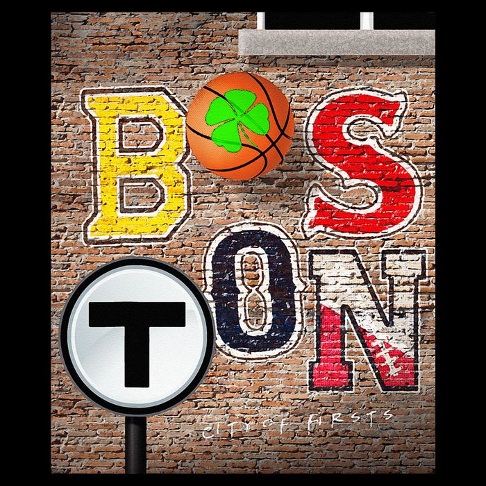 Boston Sports Teams Fan Football Baseball Hockey Basketball 16 in Basic Backpack