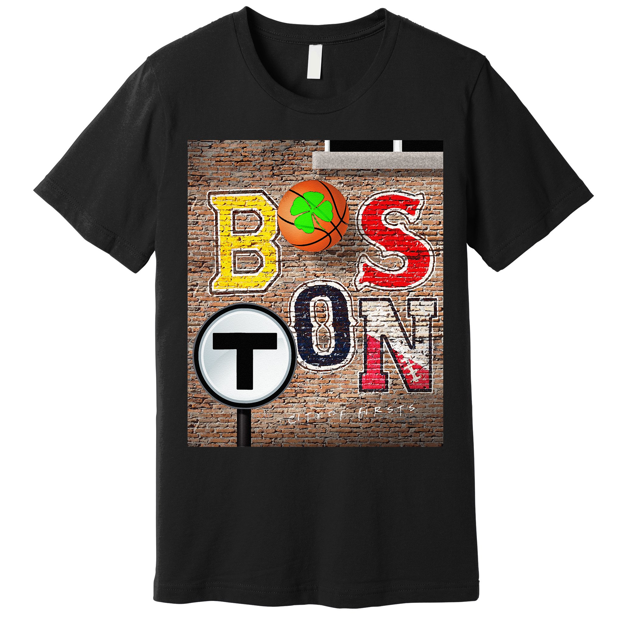 Boston Sports Teams Fan Football Baseball Hockey Basketball Premium T-Shirt