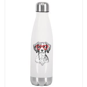 Brittany Spaniel Valentines Day Dog Mom Dog Lover Great Gift Stainless Steel Insulated Water Bottle