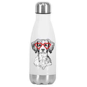 Brittany Spaniel Valentines Day Dog Mom Dog Lover Great Gift Stainless Steel Insulated Water Bottle