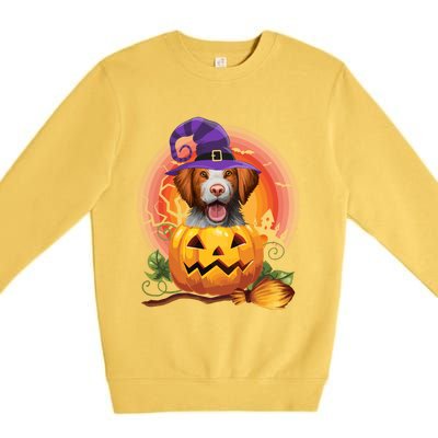 Brittany Spaniel Witch Pumpkin Halloween Cute Gift Dog Lover Costume Cool Gift Premium Crewneck Sweatshirt