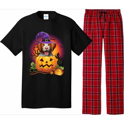 Brittany Spaniel Witch Pumpkin Halloween Cute Gift Dog Lover Costume Cool Gift Pajama Set