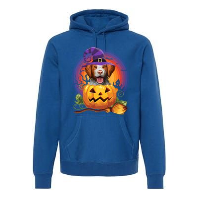 Brittany Spaniel Witch Pumpkin Halloween Cute Gift Dog Lover Costume Cool Gift Premium Hoodie