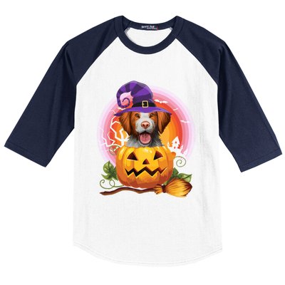 Brittany Spaniel Witch Pumpkin Halloween Cute Gift Dog Lover Costume Cool Gift Baseball Sleeve Shirt