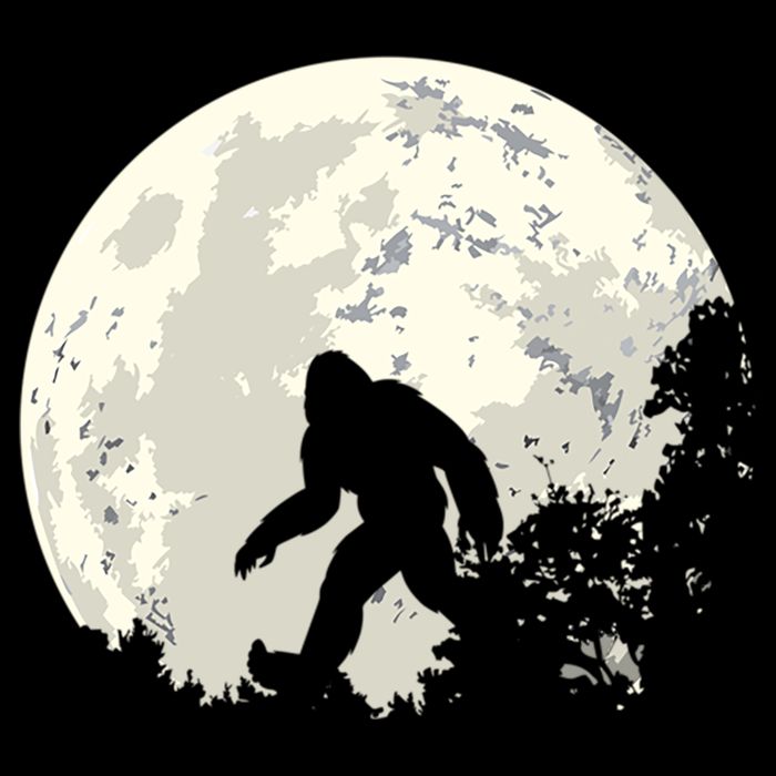 Bigfoot Sasquatch Yeti Gift Cooling Performance Crew T-Shirt