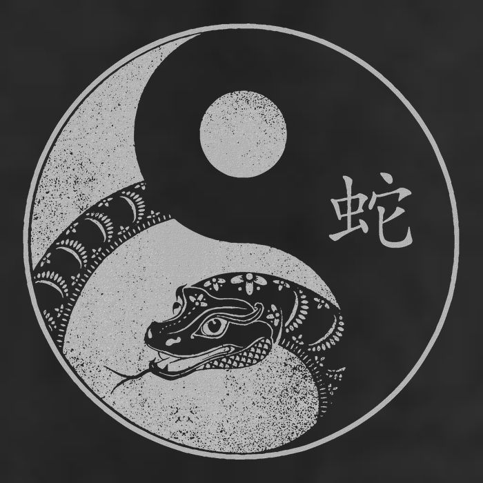 Beautiful Snake Yin And Yang Chinese New Year Cool Comfort Performance Bucket Hat