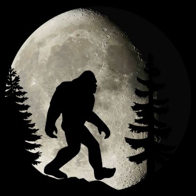 Bigfoot, Sasquatch, Yeti, Moon T-Shirt