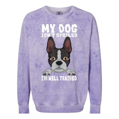 Boston Terrier American Gentleman Dog Lover Im Well Trained Colorblast Crewneck Sweatshirt