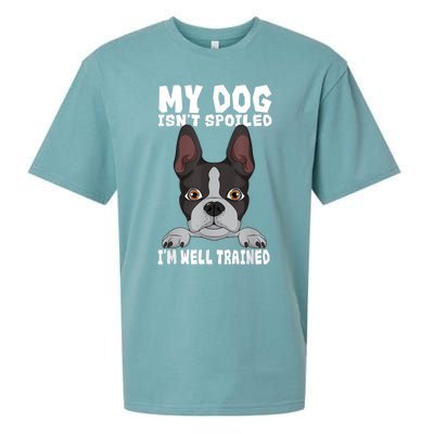 Boston Terrier American Gentleman Dog Lover Im Well Trained Sueded Cloud Jersey T-Shirt