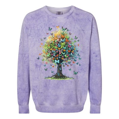 Butterfly Tree Aesthetics Butterflies Beautiful Aesthetics Colorblast Crewneck Sweatshirt