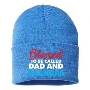 Blessed To Be Called Dad And Grandpa Father Grandfather Cool Gift Sustainable Knit Beanie