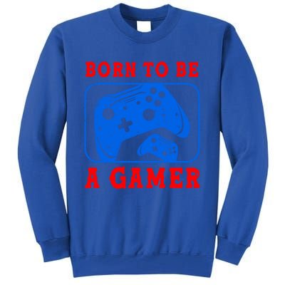 Born To Be A Gamer For Intense Visual Funny Gift Tall Sweatshirt