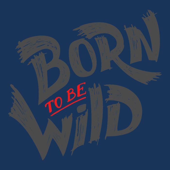"Born to be Wild" Visor