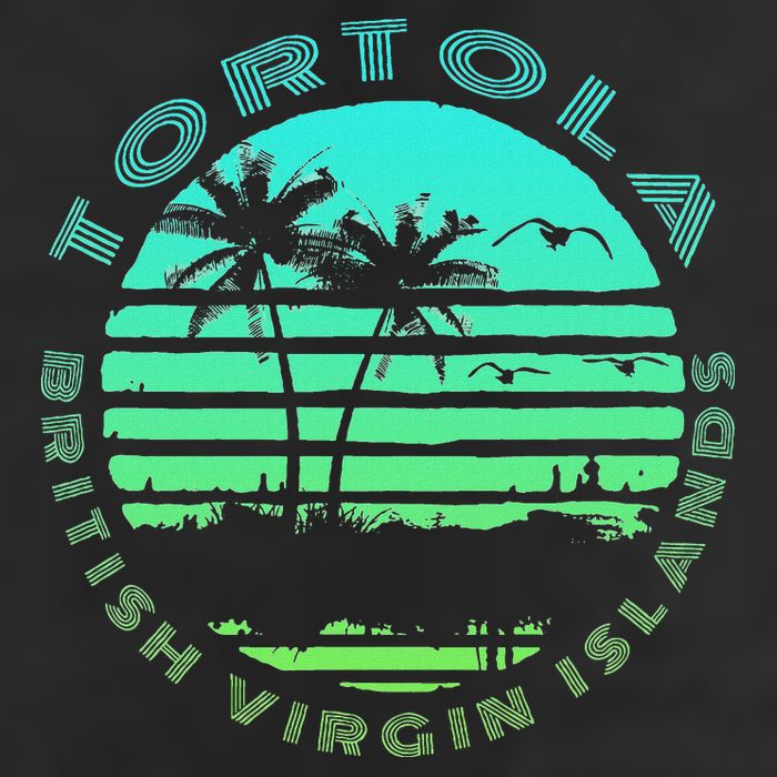 Bvi Tortola British Caribbean Island Souvenir 11oz C Handle Ceramic Mug
