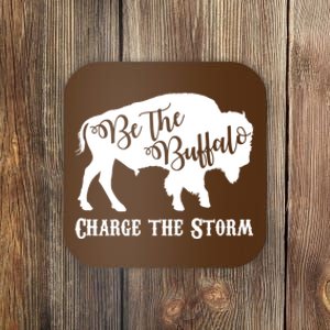 Be The Buffalo Charge The Storm Coaster