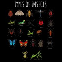 Bug T Bug Identification Types Of Insects 7-Panel Snapback Hat