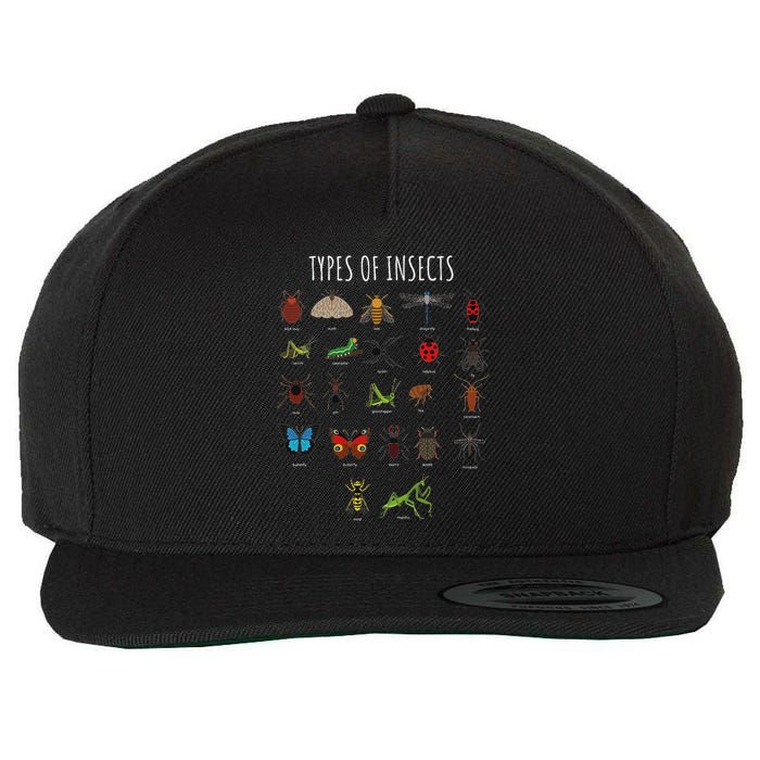 Bug T Bug Identification Types Of Insects Wool Snapback Cap