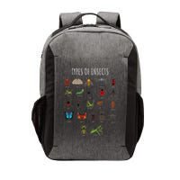 Bug T Bug Identification Types Of Insects Vector Backpack