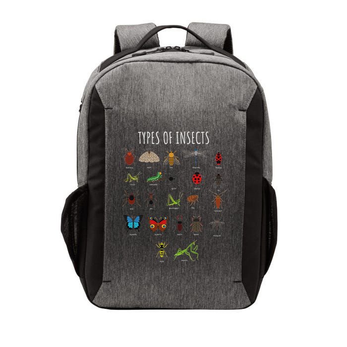 Bug T Bug Identification Types Of Insects Vector Backpack