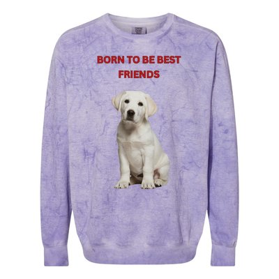 Born To Be Best Friends Design Colorblast Crewneck Sweatshirt