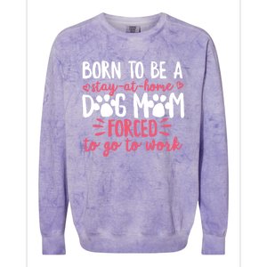 Born To Be A Stay At Home Dog Mom Mama Humor Pink Gift Colorblast Crewneck Sweatshirt