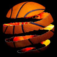 Basketball Tear Wool Snapback Cap