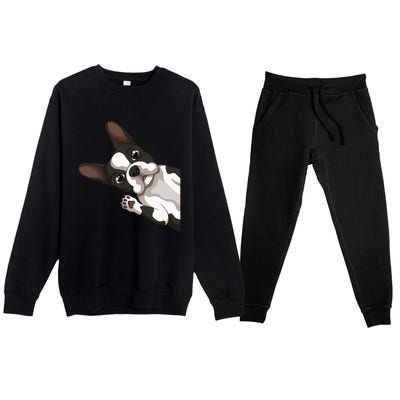 Boston Terrier Bostie Dog Premium Crewneck Sweatsuit Set